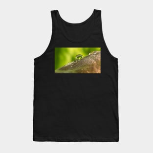 Morning Dew Tank Top